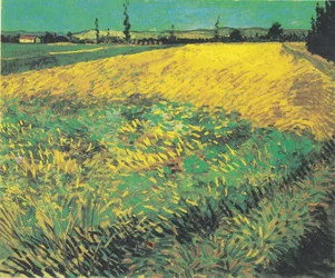 Weizenfeld mit Hügeln der Alpilles im Hintergrund